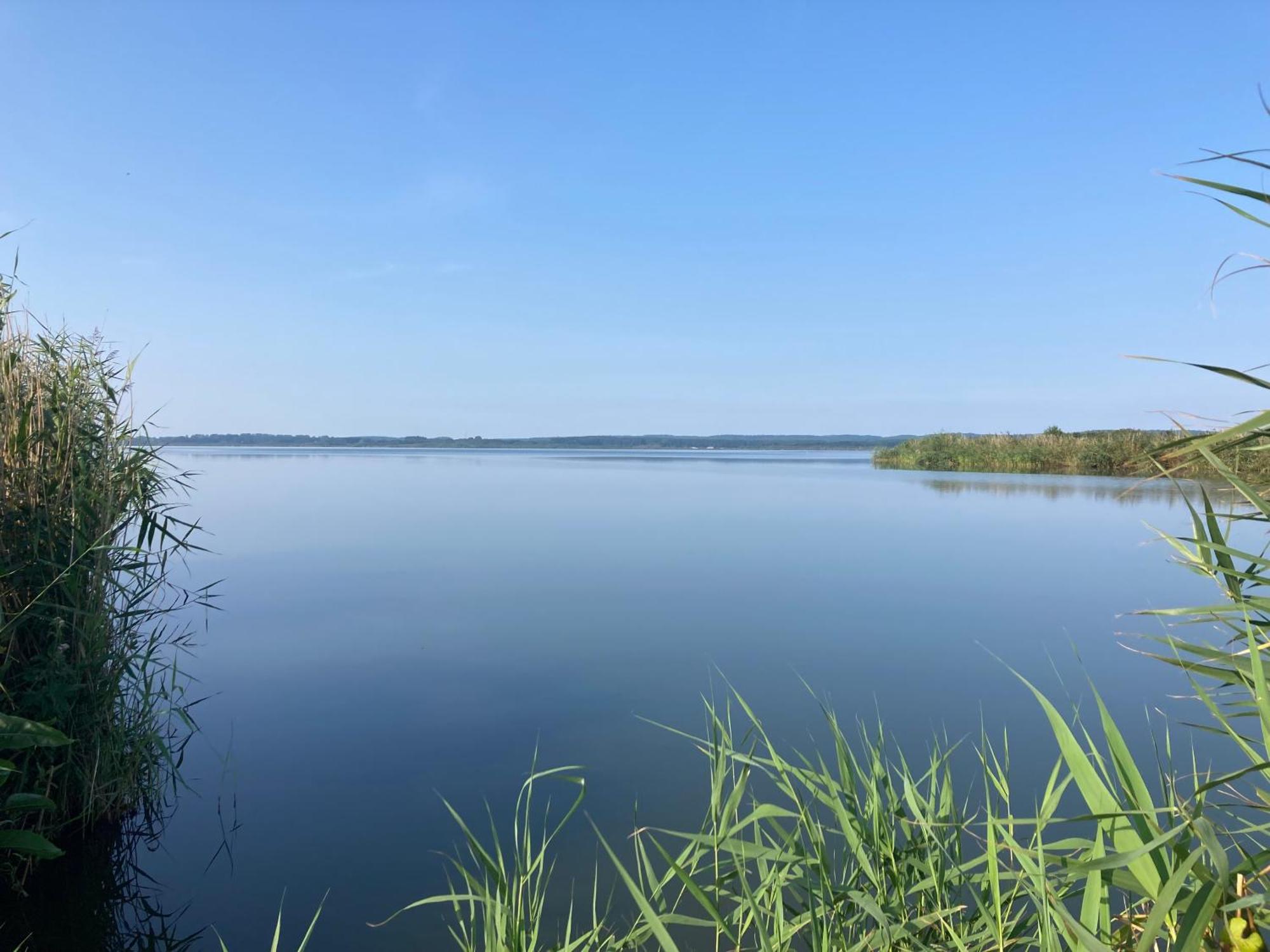 Nowe Apartamenty Ostoja - Nad Baltykiem - Cisza I Piekno Natury Zastan Exterior foto